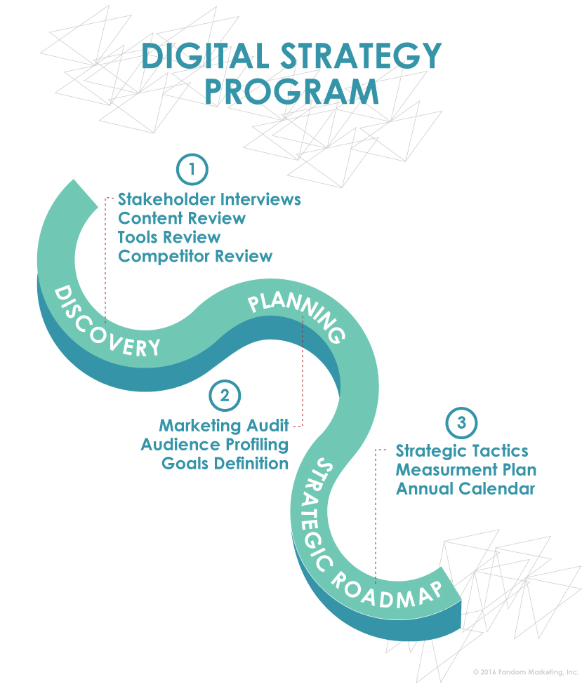 Digital Strategy Program